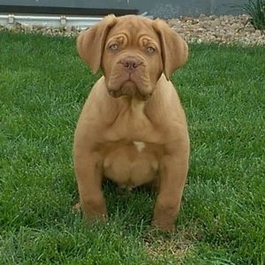 Meet your Posher, Brian